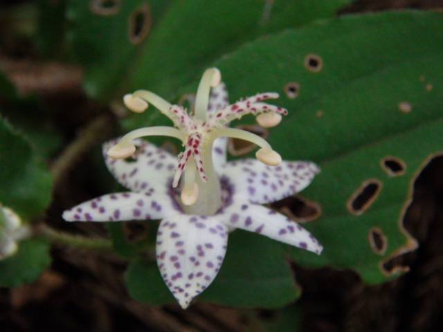 f0231709_97196.jpg