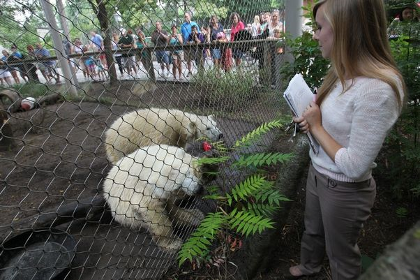 アメリカ・ニューヨーク州のバッファロー動物園に凝縮した新施設建設の問題 ~ 主役は来園者か動物たちか?_a0151913_22564750.png