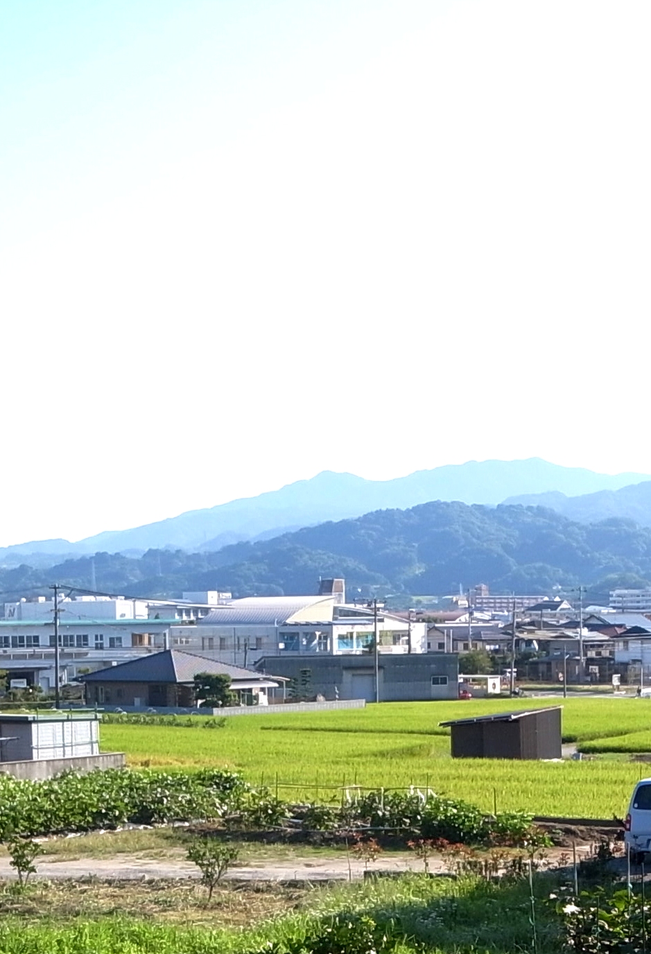 秋晴れ_f0150413_17165042.jpg