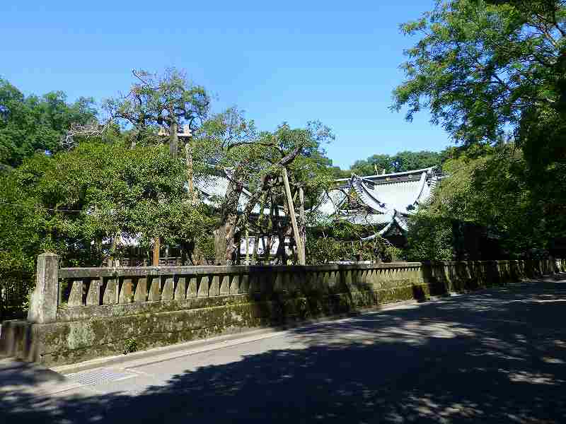 f0182513_23251950.jpg