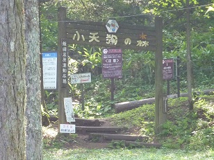 天狗がいっぱい?_a0177314_1832552.jpg