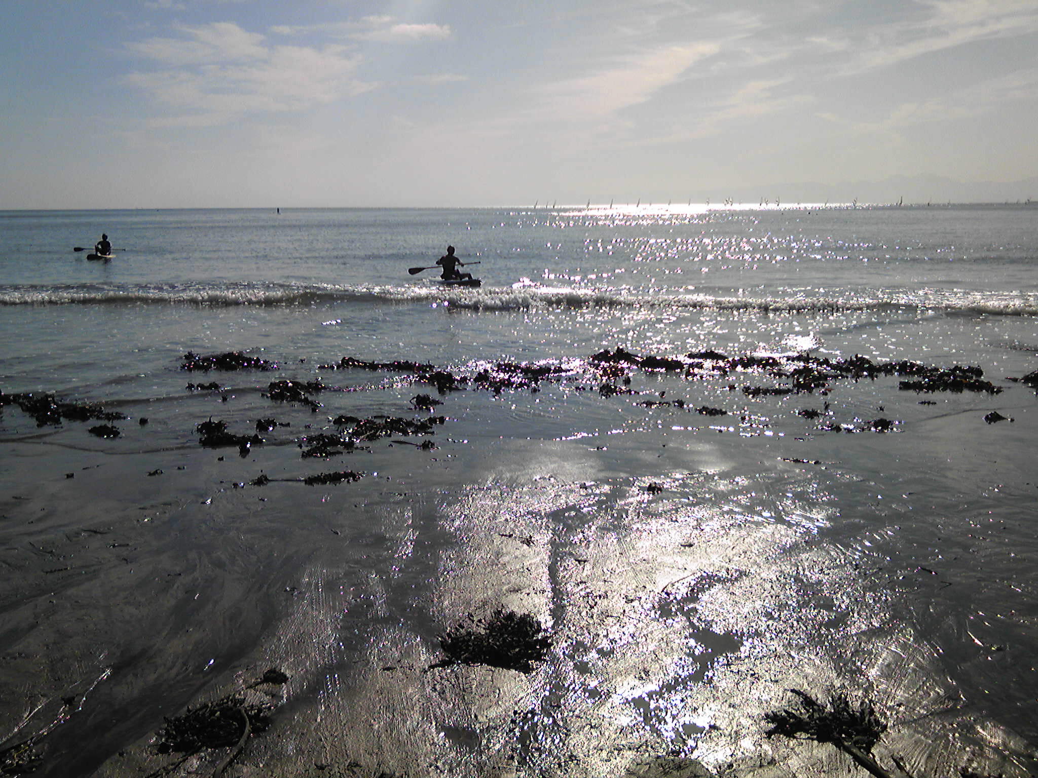 b0285619_20122012.jpg