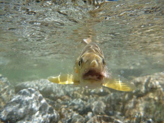 d0227723_2032095.jpg