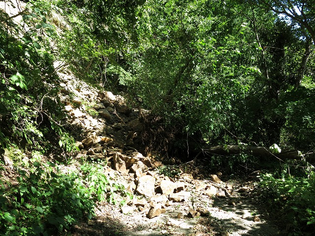 d0227723_204378.jpg