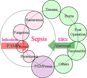 敗血症の展望 to 2020　～世界敗血症の日（World Sepsis Day）～（4）重症敗血症の予防_e0255123_19484646.png