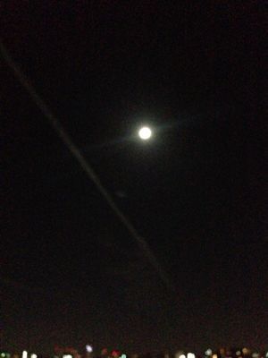 c0250724_24442.jpg