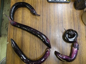 NASUジーがやってきた!_b0174425_17542454.jpg