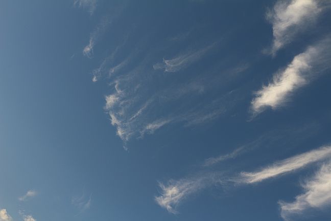 e0108126_8223696.jpg