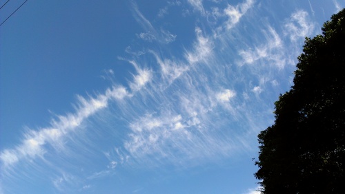 f0061531_221845.jpg