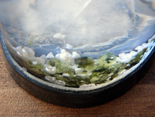 f0280238_13144968.jpg