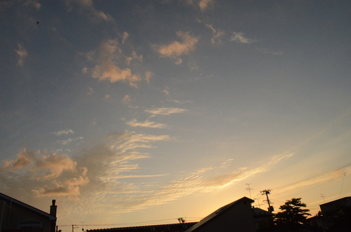 朝。_b0207642_18395546.jpg