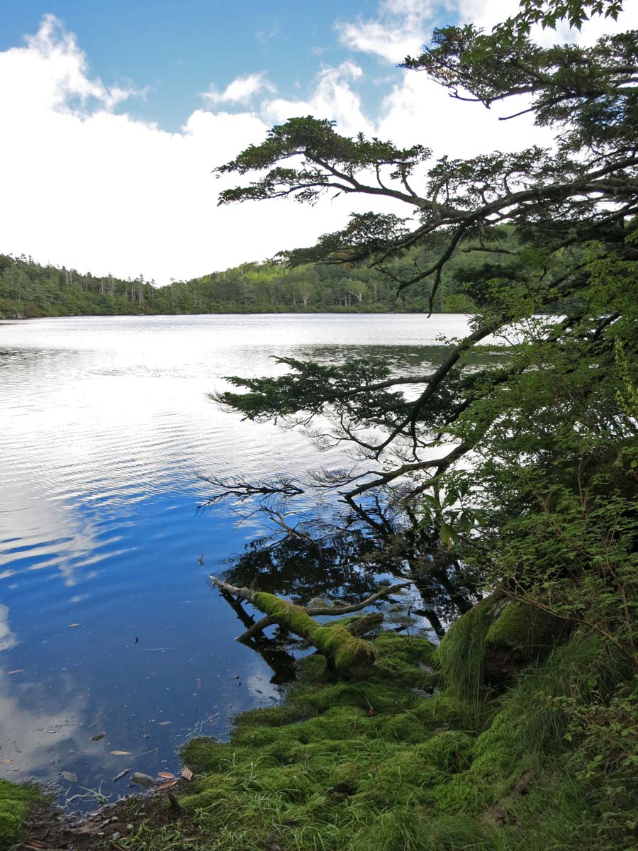 b0032444_853547.jpg