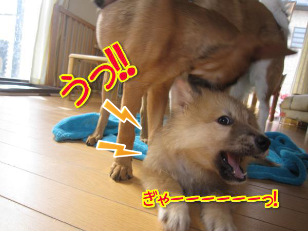 c0264744_1358884.png