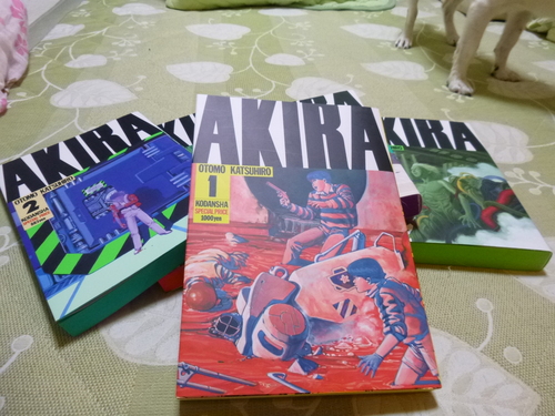 茶色い江戸川とAKIRA_a0314846_1994385.jpg