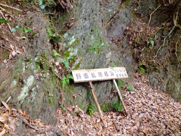 熊野古道@ ツヅラト峠コース_e0292546_15234665.jpg