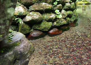 c0171349_9553541.jpg
