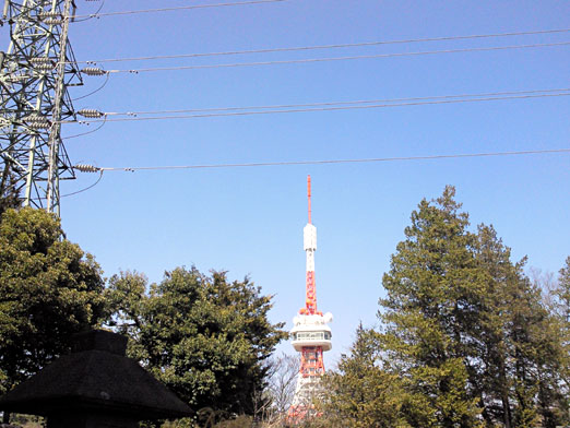 八幡山公園。_c0039153_21333674.jpg