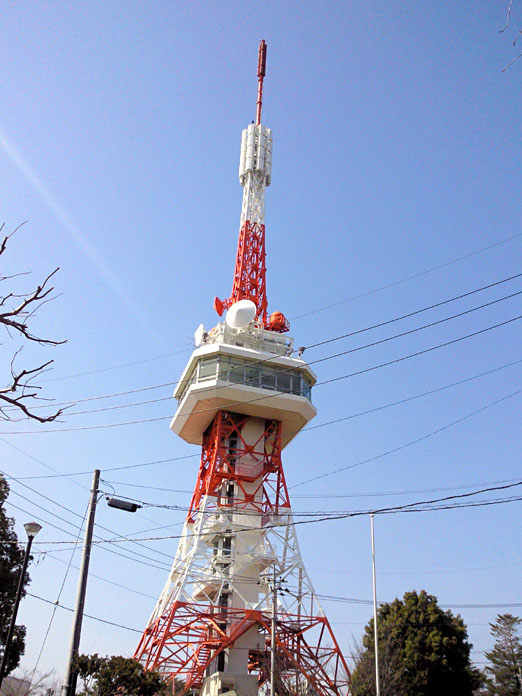 八幡山公園。_c0039153_21334141.jpg