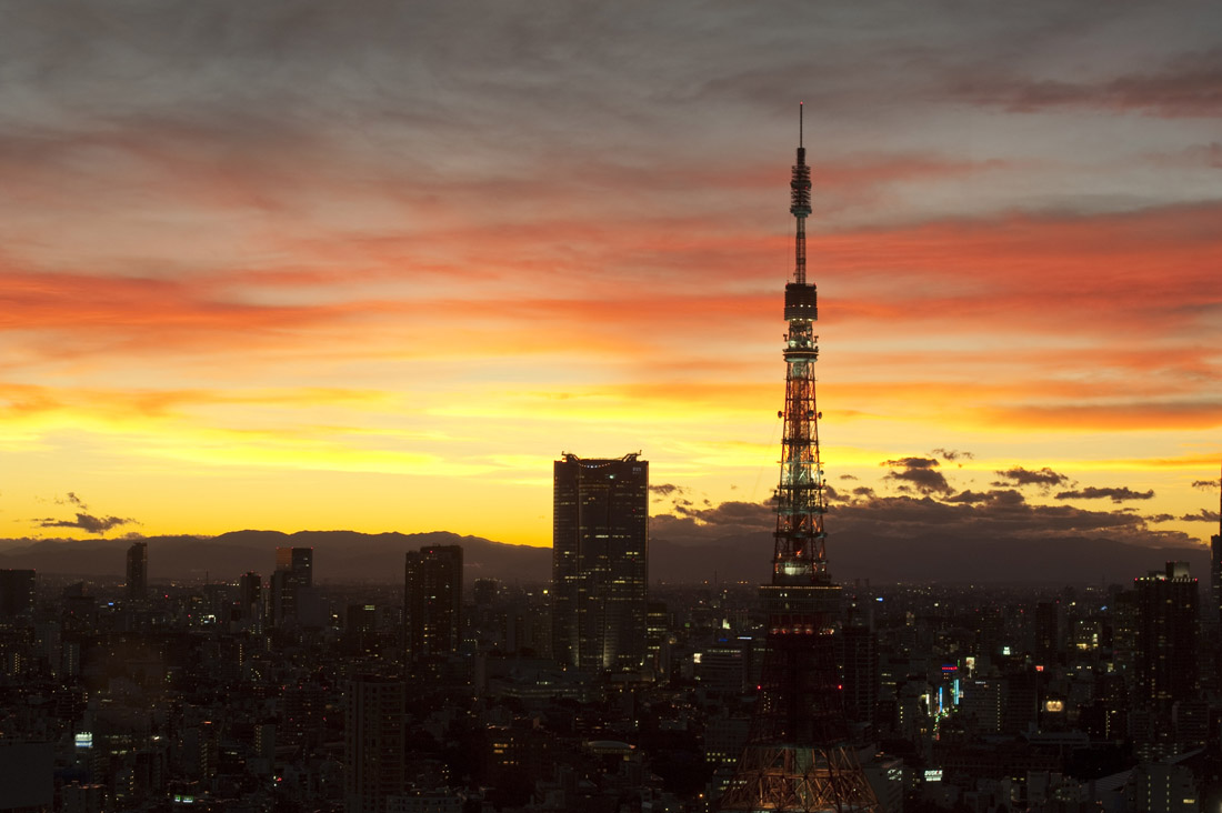 a0164456_23195518.jpg