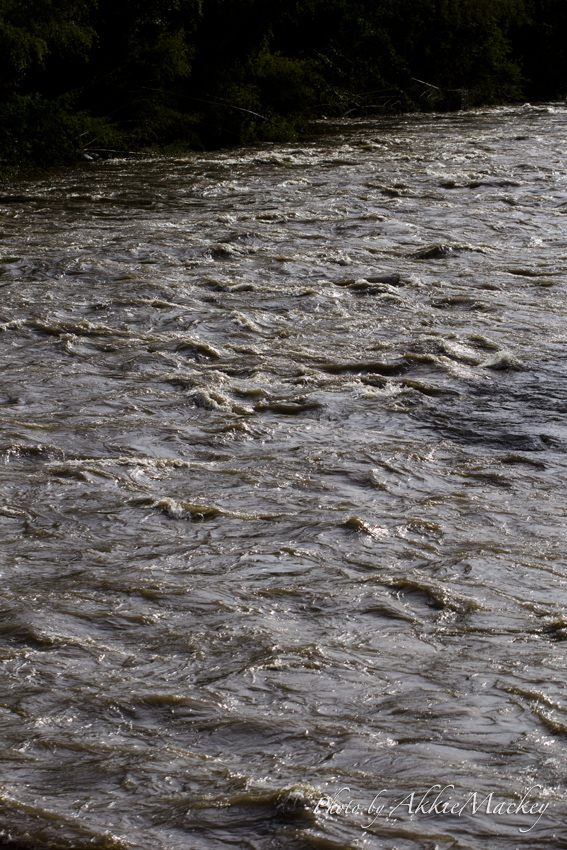 b0167256_72090.jpg