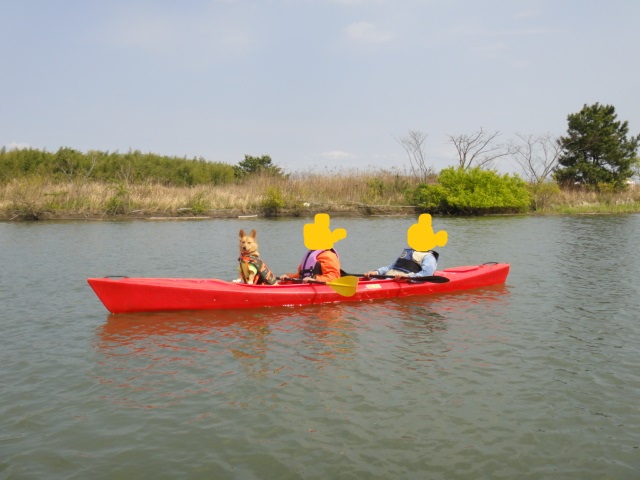 e0200357_24127.jpg