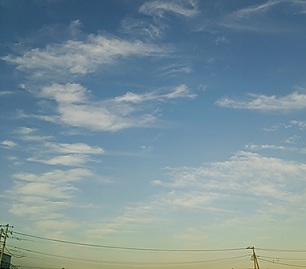 f0130259_14393520.jpg