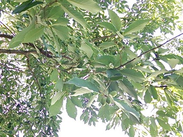 f0130259_14394826.jpg