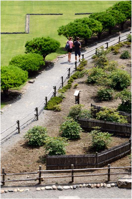 松本城／松本城公園 _a0079473_9221047.jpg