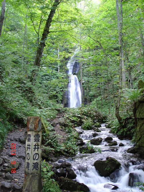 d0165378_13328.jpg