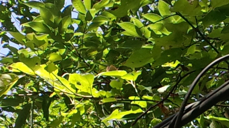 e0275078_11235656.jpg