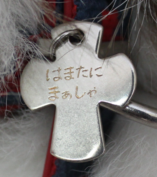 らむ動物病院オールスターズ パート1_c0245679_12183842.jpg