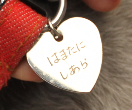 らむ動物病院オールスターズ パート1_c0245679_12302352.jpg