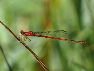 d0240983_2120621.jpg
