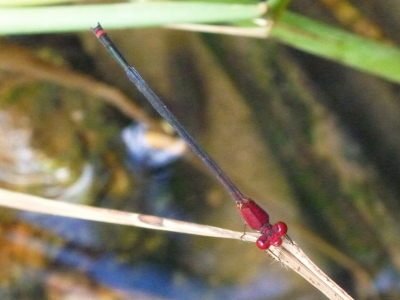 d0240983_220221.jpg