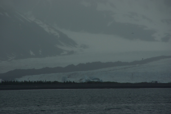 f0268294_08147.jpg