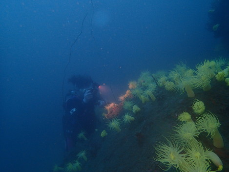 e0115199_18193796.jpg