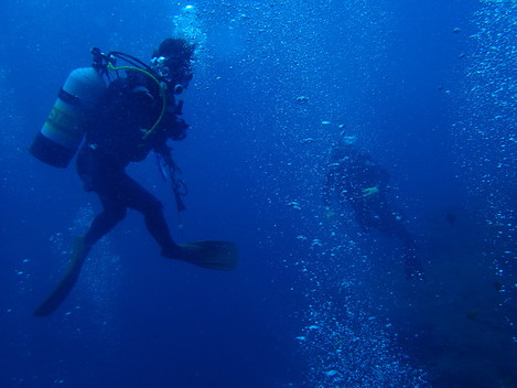 e0115199_18201058.jpg