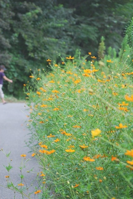 e0025300_2115723.jpg