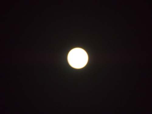 e0122100_1054621.jpg