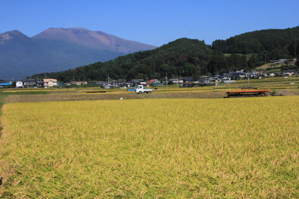 f0227200_23492737.jpg