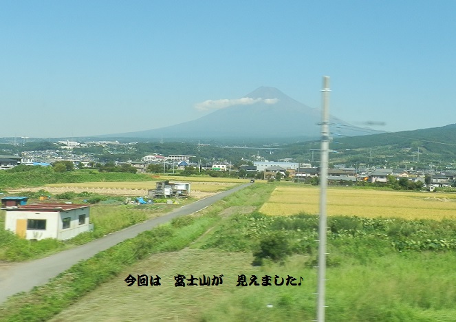c0098501_2365259.jpg