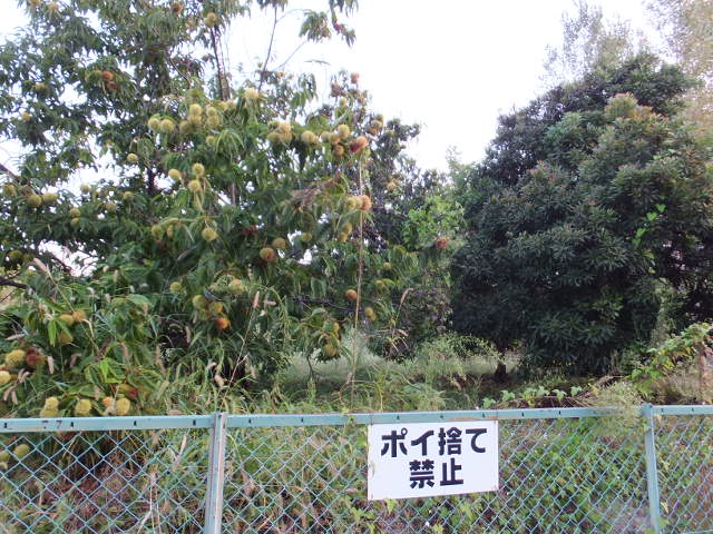 a0271502_13403975.jpg