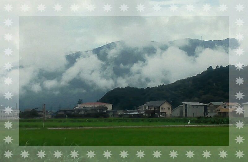 d0306603_1725195.jpg