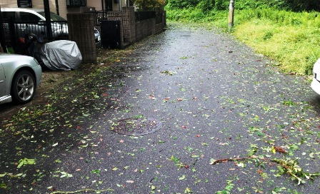 台風18号　～その爪跡～_f0163105_1234176.jpg