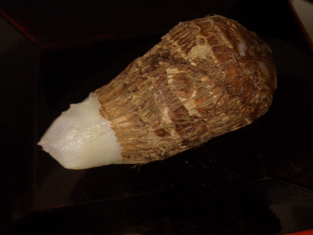 衣被(仲秋の名月 \'13)_a0056406_194650100.jpg