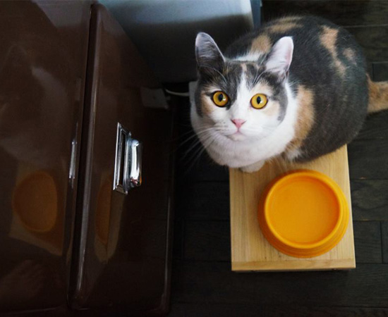 みんな食欲の秋_a0115906_1048090.jpg