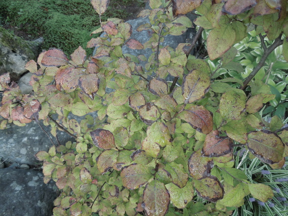 f0297809_0173088.jpg