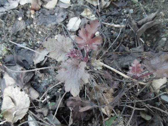 f0297809_026565.jpg