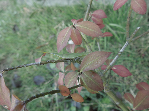 f0297809_07354.jpg