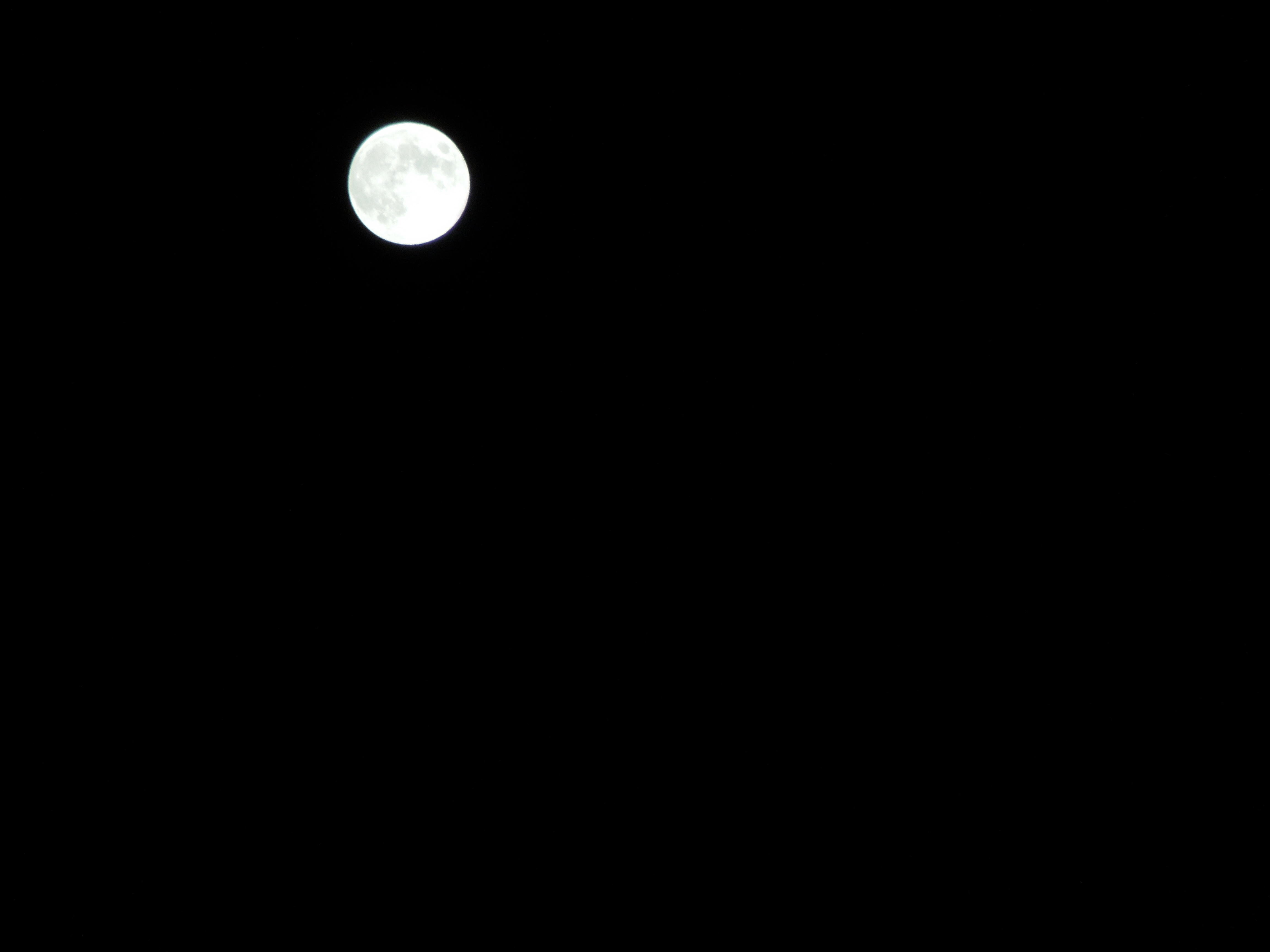 f0297809_21365380.jpg